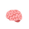 Cognitive & Intelligence